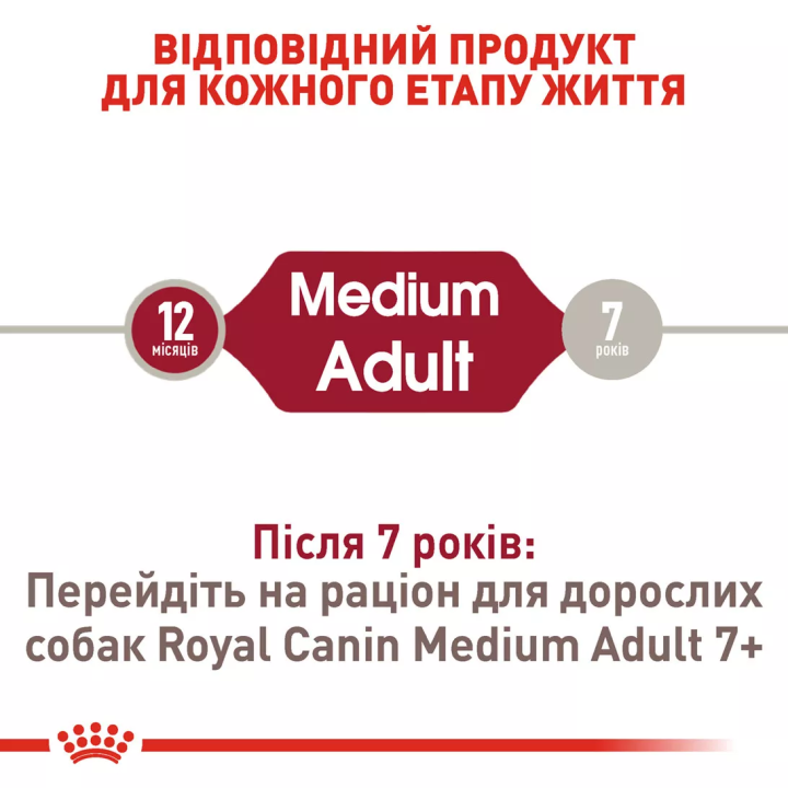 Замовити Medium Adult 4 кг Royal Canin | Знижка до 23% | Відправка з Києва по Україні