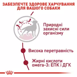 Замовити Medium Adult 4 кг Royal Canin | Знижка до 23% | Відправка з Києва по Україні