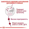 Замовити Medium Adult 4 кг Royal Canin | Знижка до 23% | Відправка з Києва по Україні