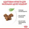 Замовити Kitten 4 кг Royal Canin | Знижка до 23% | Відправка з Києва по Україні