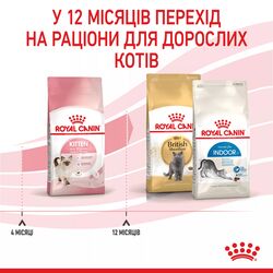 Замовити Kitten 4 кг Royal Canin | Знижка до 23% | Відправка з Києва по Україні