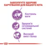 Замовити Sterilised 4 кг Royal Canin | Знижка до 23% | Відправка з Києва по Україні