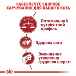 Замовити Fit 32 (4 кг) Royal Canin | Знижка до 23% | Відправка з Києва по Україні