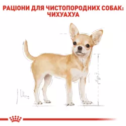 Замовити Chihuahua 0.085 кг Royal Canin | Знижка до 23% | Відправка з Києва по Україні