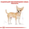 Замовити Chihuahua 0.085 кг Royal Canin | Знижка до 23% | Відправка з Києва по Україні