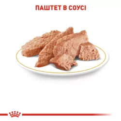 Замовити Chihuahua 0.085 кг Royal Canin | Знижка до 23% | Відправка з Києва по Україні