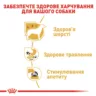 Замовити Chihuahua 0.085 кг Royal Canin | Знижка до 23% | Відправка з Києва по Україні