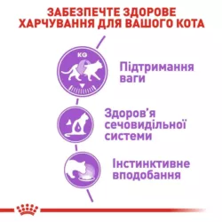 Замовити Sterilised Loaf 0.085 кг Royal Canin | Знижка до 23% | Відправка з Києва по Україні