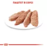 Замовити Sterilised Loaf 0.085 кг Royal Canin | Знижка до 23% | Відправка з Києва по Україні