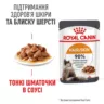 Замовити HAIR & SKIN CARE в Соусі 0.085 кг Royal Canin | Знижка до 23% | Відправка з Києва по Україні