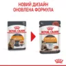 Замовити HAIR & SKIN CARE в Соусі 0.085 кг Royal Canin | Знижка до 23% | Відправка з Києва по Україні