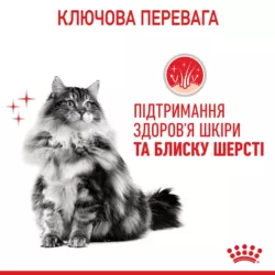 Замовити HAIR & SKIN CARE в Соусі 0.085 кг Royal Canin | Знижка до 23% | Відправка з Києва по Україні