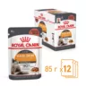 Замовити HAIR & SKIN CARE в Соусі 0.085 кг Royal Canin | Знижка до 23% | Відправка з Києва по Україні