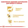 Замовити Yorkshire Adult 0.085 кг Royal Canin | Знижка до 23% | Відправка з Києва по Україні