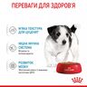 Замовити Mini Puppy 0.085 кг Royal Canin | Знижка до 23% | Відправка з Києва по Україні