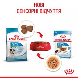 Замовити Mini Puppy 0.085 кг Royal Canin | Знижка до 23% | Відправка з Києва по Україні