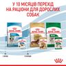 Замовити Mini Puppy 0.085 кг Royal Canin | Знижка до 23% | Відправка з Києва по Україні