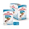 Замовити Mini Puppy 0.085 кг Royal Canin | Знижка до 23% | Відправка з Києва по Україні