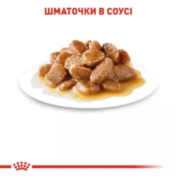 Замовити Mini Adult 0.085 кг Royal Canin | Знижка до 23% | Відправка з Києва по Україні