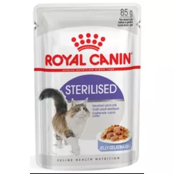 Замовити Sterilised Jelly 0.085 кг Royal Canin | Знижка до 23% | Відправка з Києва по Україні