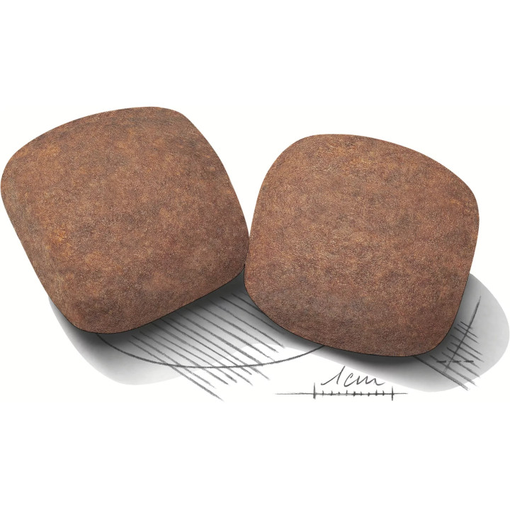 12+3 кг Royal Canin Giant Adult 15 кг | Сухий корм для собак гігантських порід