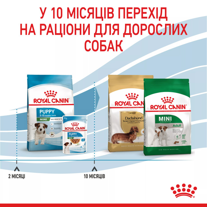 7+1 кг Royal Canin Mini Puppy 8 кг | Сухий корм для цуценят малих порід