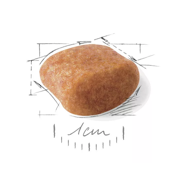 Royal Canin Poodle Adult 0.5 кг | Сухий Корм Для Дорослих Собак