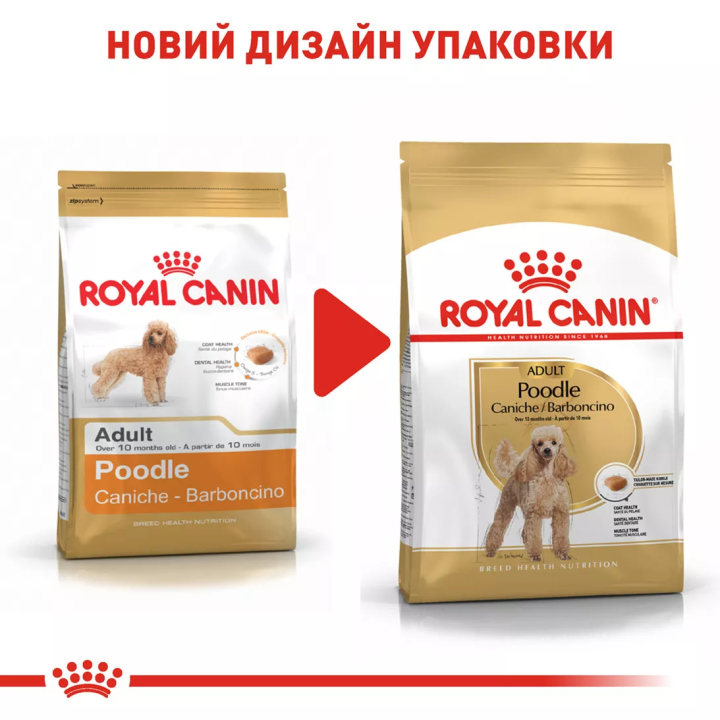 Royal Canin Poodle Adult 0.5 кг | Сухий Корм Для Дорослих Собак