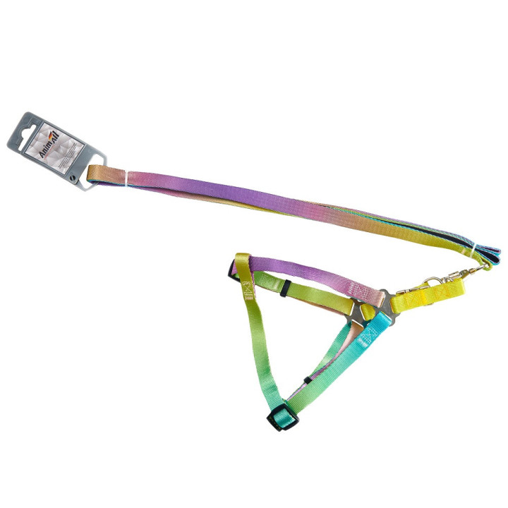 Набір AnimAll (шлея+повідець) Panton 2 20мм | ZooOpt