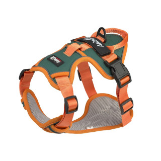 Шлея анатомічна світловідбивна AnimAll HL-H8791 для собак, колір зелений | помаранчевий, L 62-83 см