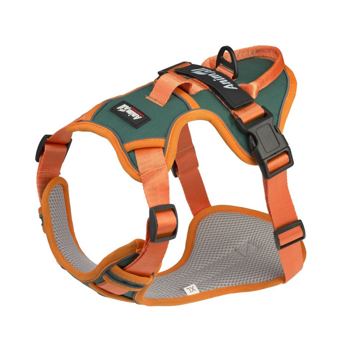 Шлея AnimAll для великих собак XL (77-100 см) купити | ZooOpt