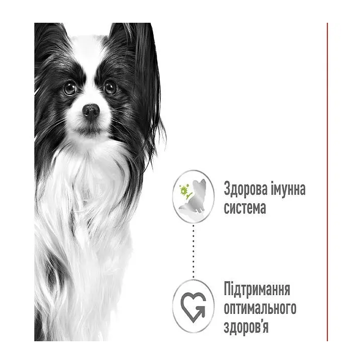 Royal Canin X-Small Adult вологий корм для собак 85г - купити за низькою ціною