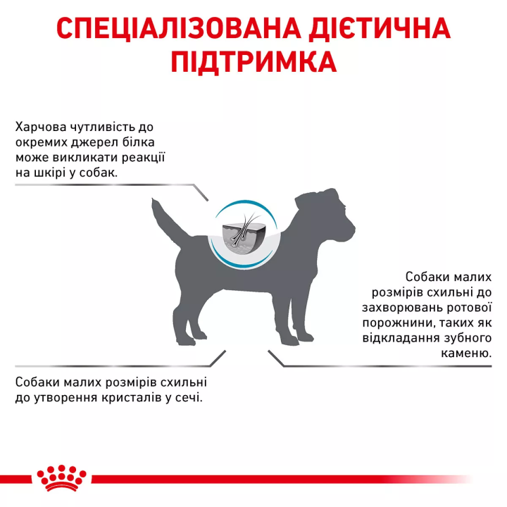 Замовити Hypoallergenic Small Dog 3.5 кг Royal Canin | Знижка до 23% | Відправка з Києва по Україні