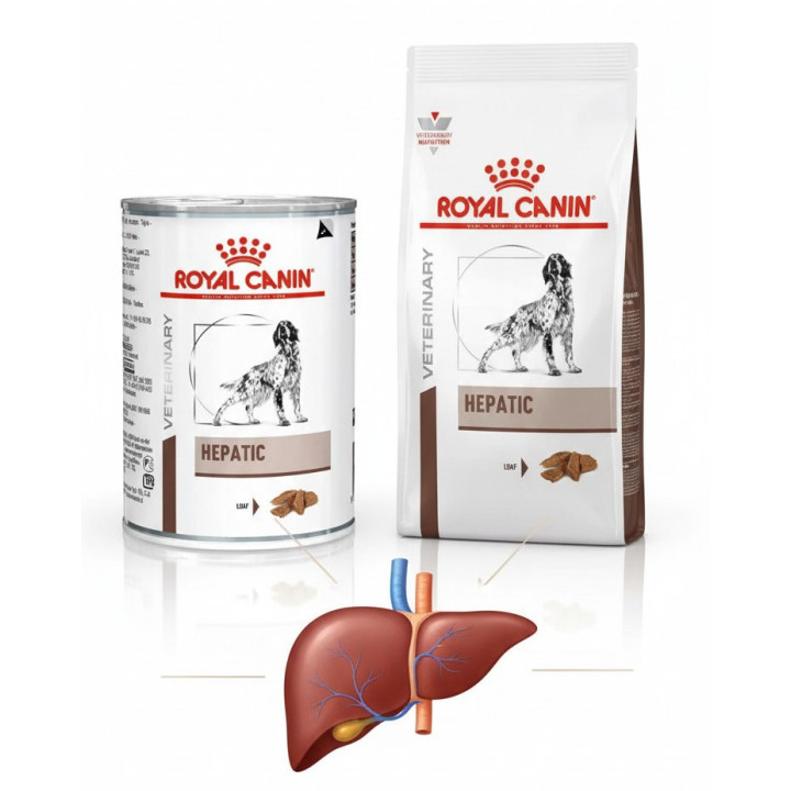 Замовити Hepatic Dog 1.5 кг Royal Canin | Знижка до 23% | Відправка з Києва по Україні