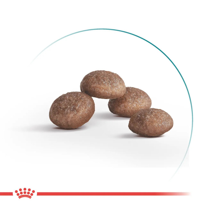 Royal Canin Ageing 11+ Sterilised - Сухий корм для стерилізованих котів віком від 11 років