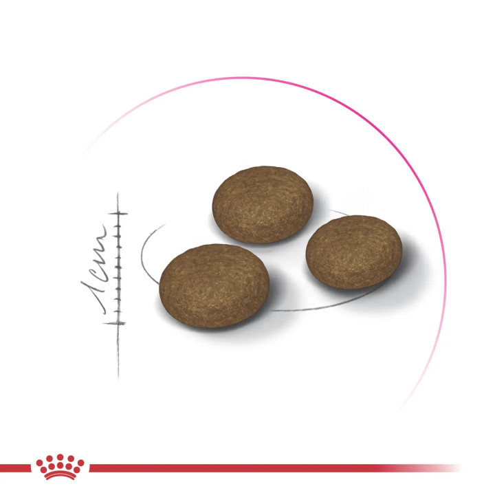 Royal Canin Exigent Fussy 2 кг - Корм для котів  з вибагливим апетитом