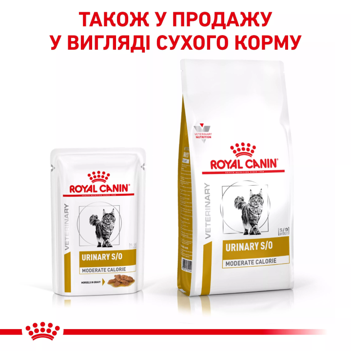 Замовити Urinary S/O Moderate Calorie Cat Pouches 0.085 кг Royal Canin | Знижка до 23% | Відправка з Києва по Україні