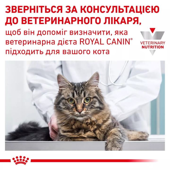 4+2 Royal Canin GastroIntestinal Cat Pouches 0.085 кг | Консервований Корм у паучах для ко