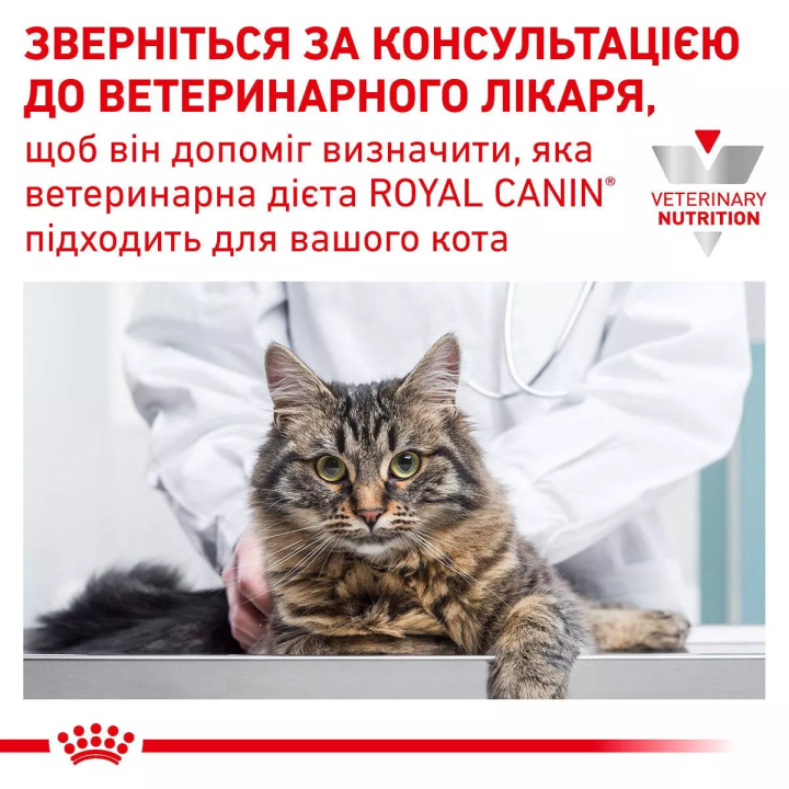 Замовити Satiety Weight Management Cat 0.085 кг Royal Canin | Знижка до 23% | Відправка з Києва по Україні