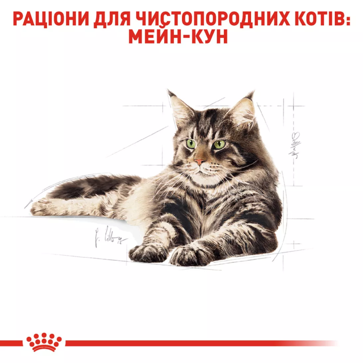 Замовити Maine Coon Adult 2 кг Royal Canin | Знижка до 23% | Відправка з Києва по Україні
