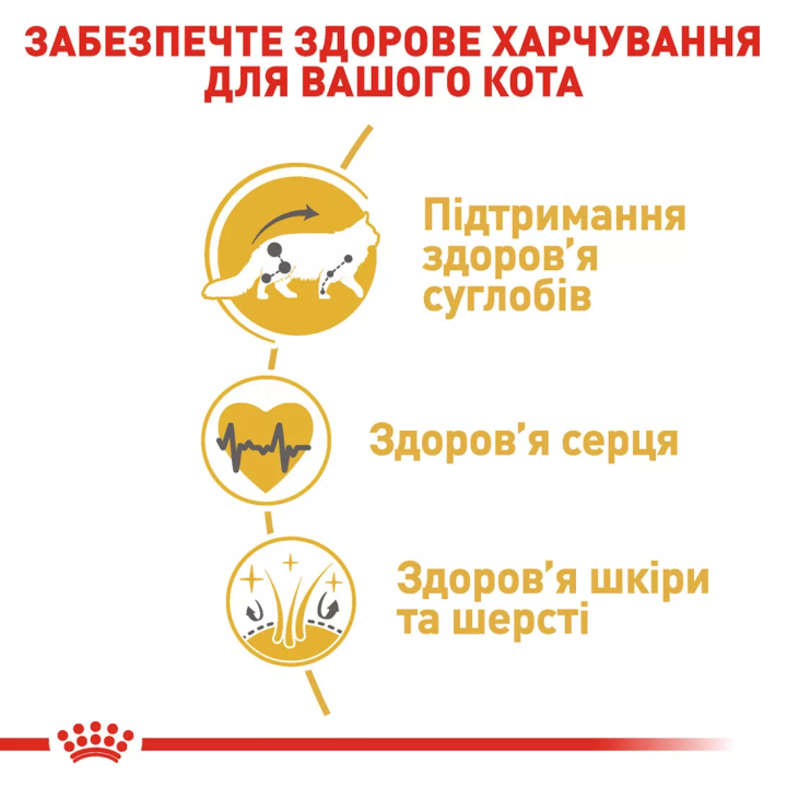 Замовити Maine Coon Adult 2 кг Royal Canin | Знижка до 23% | Відправка з Києва по Україні