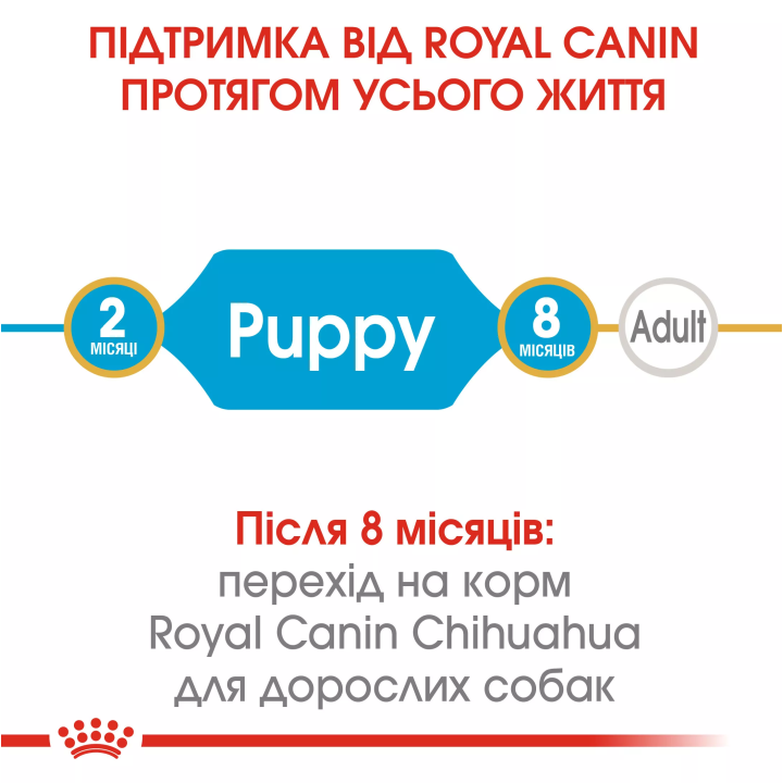 Замовити Chihuahua Puppy 0.5 кг Royal Canin | Знижка до 23% | Відправка з Києва по Україні