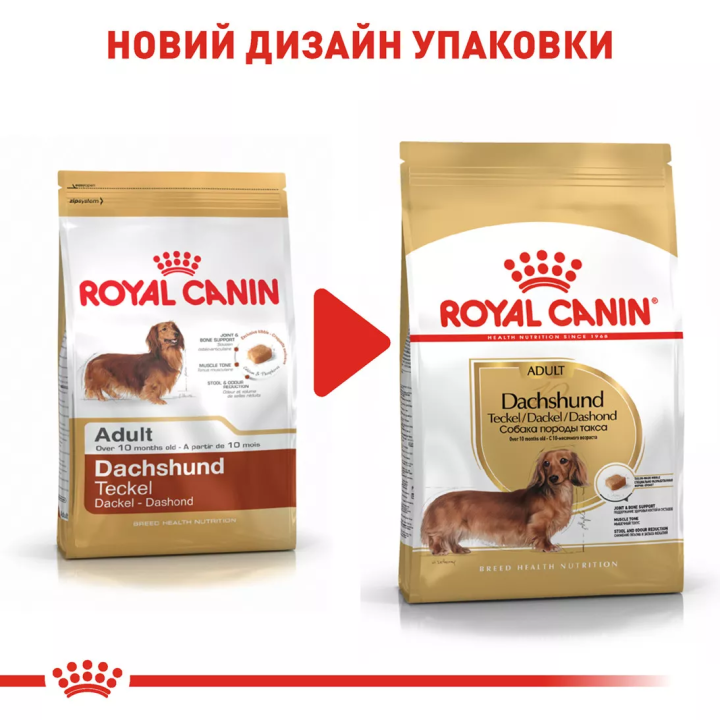 Замовити Dachshund Adult 1.5 кг Royal Canin | Знижка до 23% | Відправка з Києва по Україні