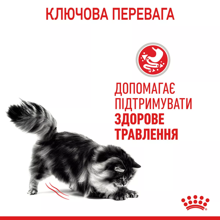 Замовити Digestive Care 0.085 кг Royal Canin | Знижка до 23% | Відправка з Києва по Україні
