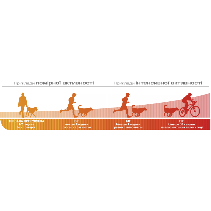 Замовити Energy 0.05 кг Royal Canin | Знижка до 23% | Відправка з Києва по Україні