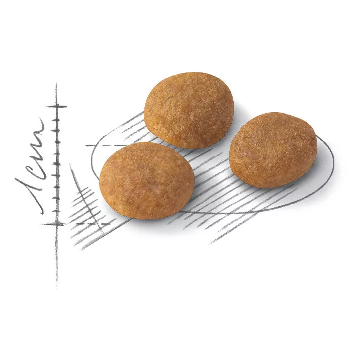 Замовити Aroma Exigent 2 кг Royal Canin | Знижка до 23% | Відправка з Києва по Україні