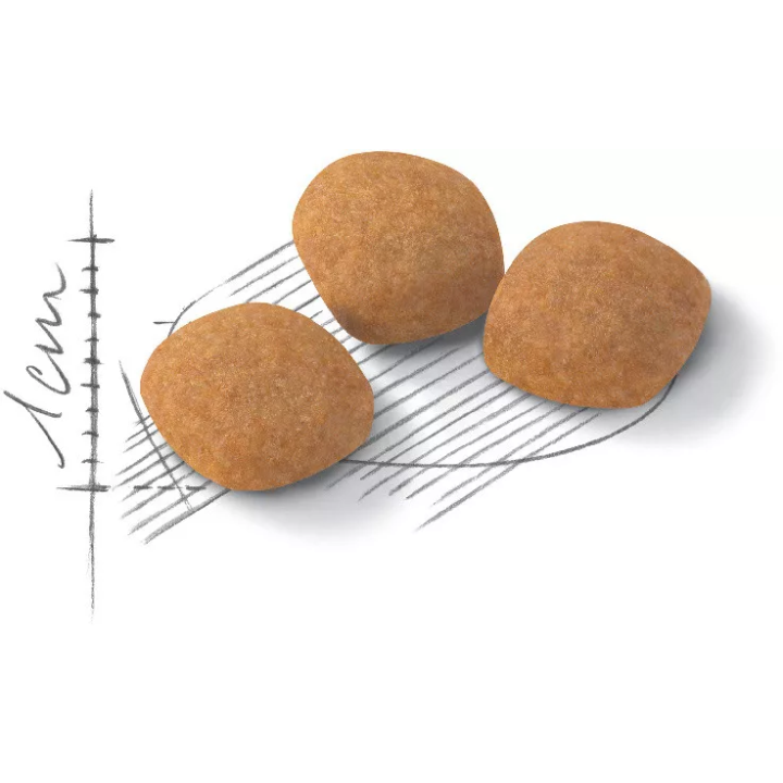 Замовити Protein Exigent 2 кг Royal Canin | Знижка до 23% | Відправка з Києва по Україні