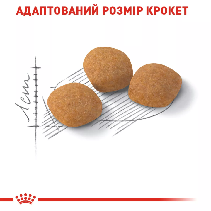 Замовити Protein Exigent 2 кг Royal Canin | Знижка до 23% | Відправка з Києва по Україні