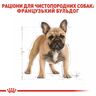 French Bulldog Adult 1.5 кг | Royal Canin | Сухий Корм Для Дорослих Собак Породи Французький Бульдог