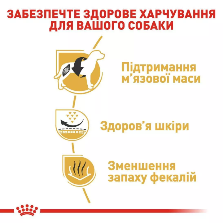 Замовити French Bulldog Adult 1.5 кг Royal Canin | Знижка до 23% | Відправка з Києва по Україні